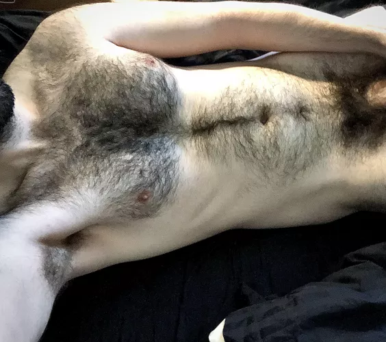 Snuggle up for warmth 😉