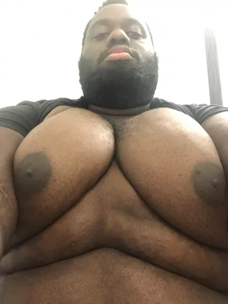 So I made a Twitter for my big moobs, let me know if you want to see it!