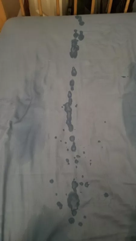 So it... went off the edge of the bed... whoops