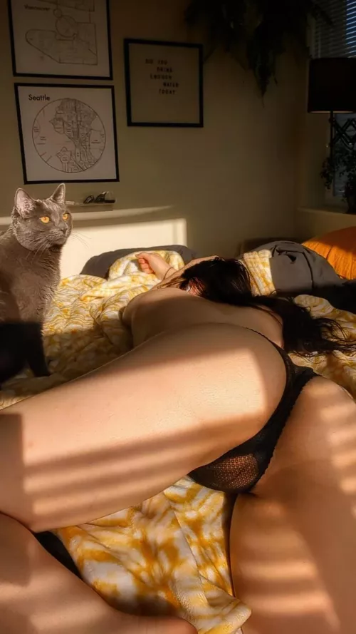 some fuzz, some furr. just a girl and her pussy 💛