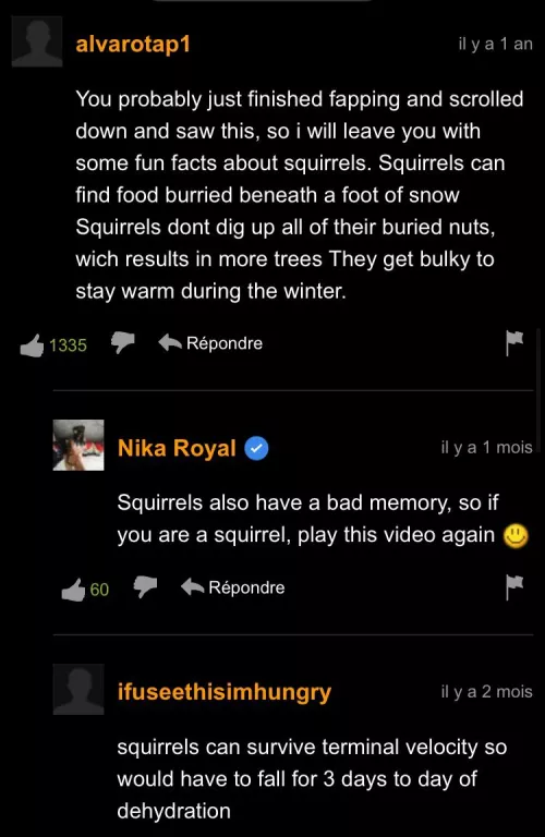 Squirrels