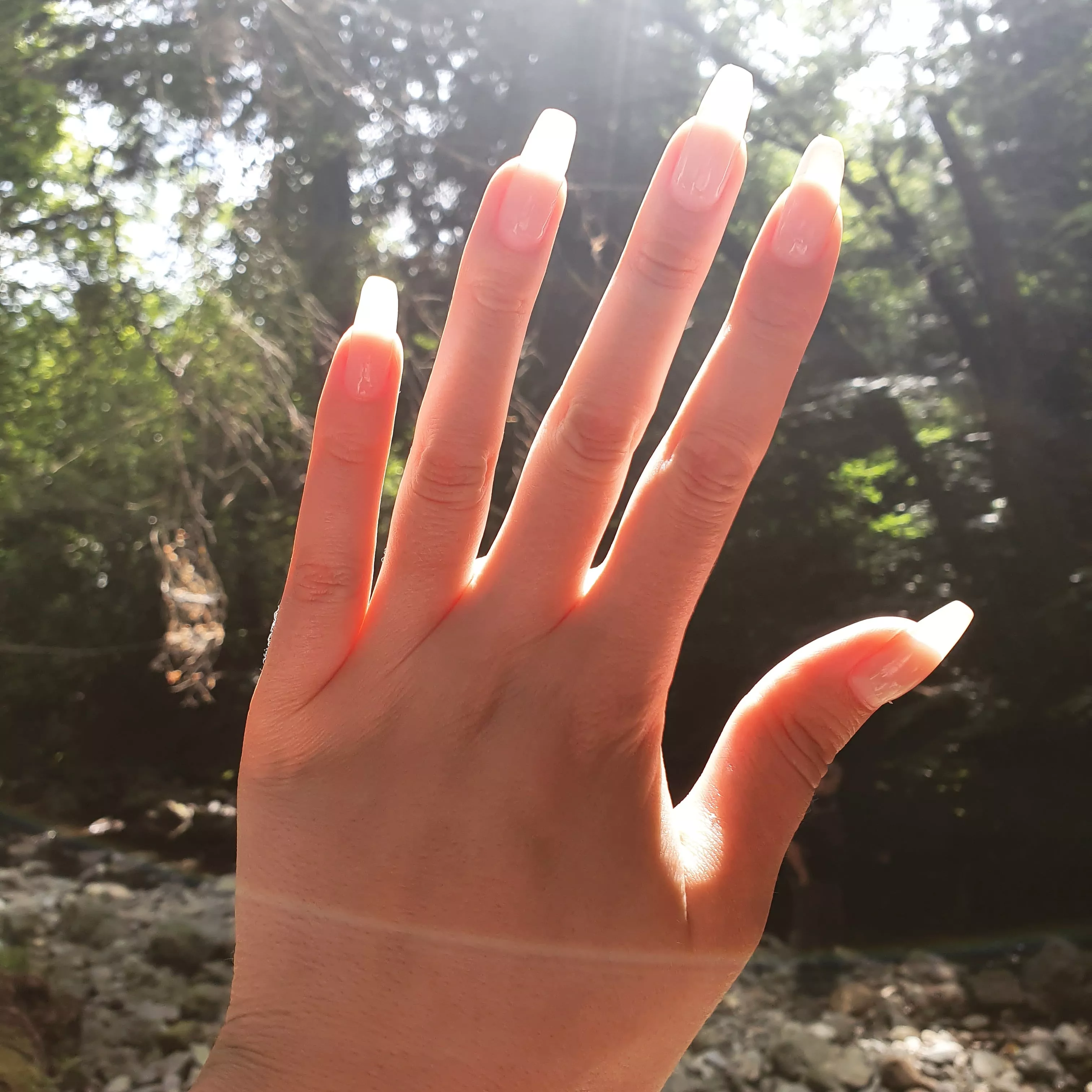 Sunlight shining through my long natural nails 🌞