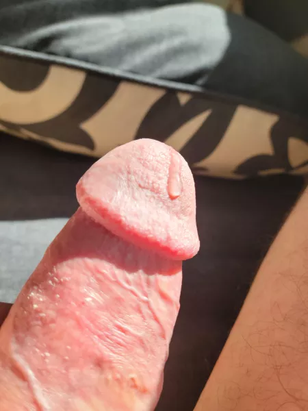 Sunny morning drip session 37[m]