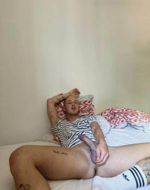 thank god no nut novembar is over 🐷