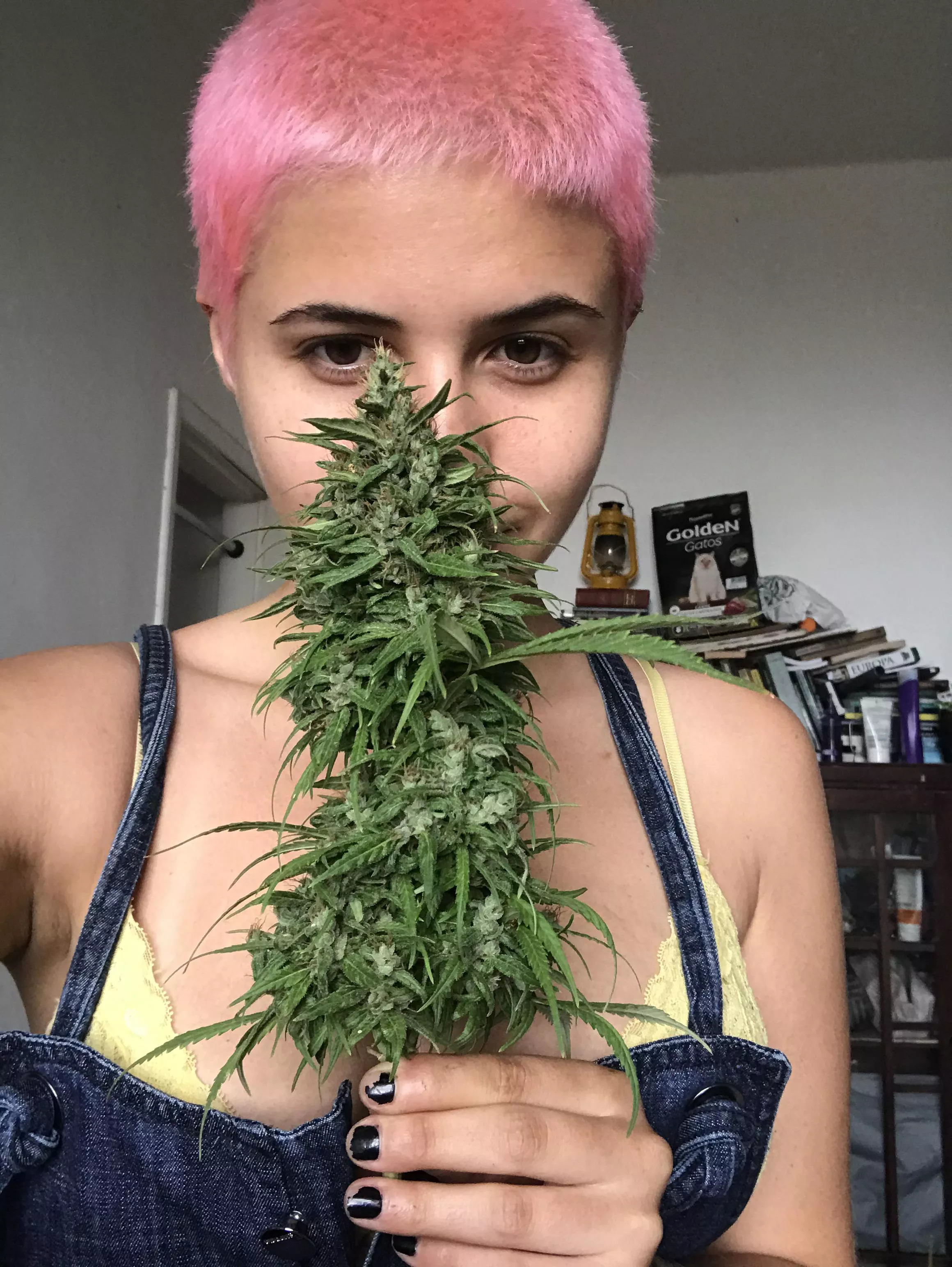 The bouquet of flowers that everyone likes. 🍁 The bouquet of flowers that everyone likes. 🍁