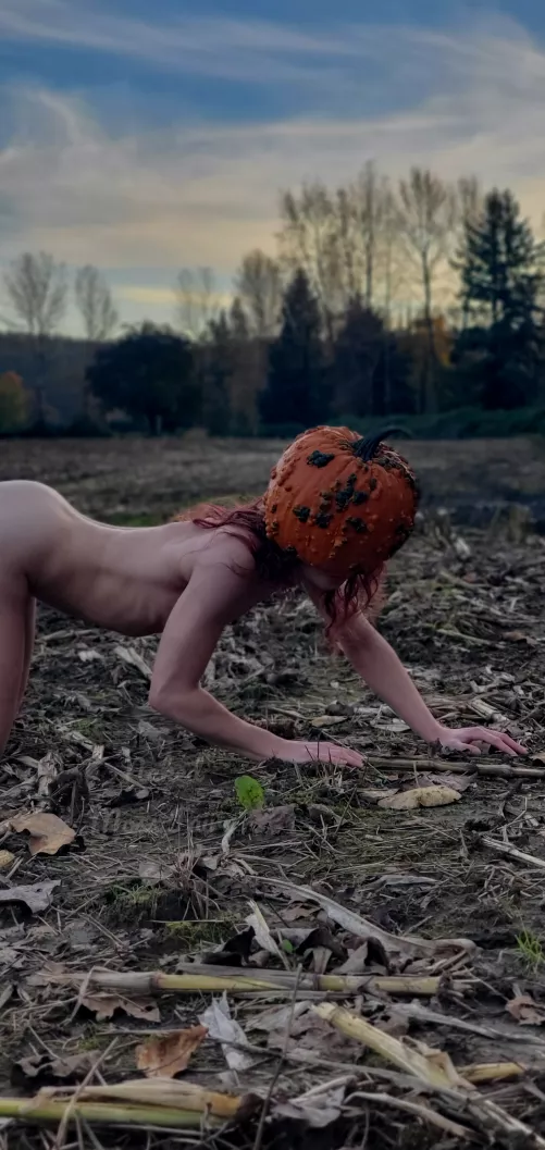 The last pumpkin in the patch🎃😈