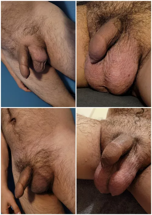 The many looks of my balls 😂 which one you like more?