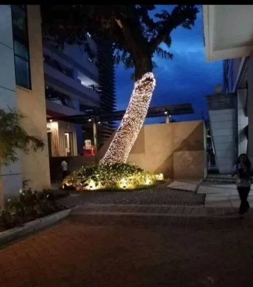 The neighbor said they will continue decorating the branches tomorrow. SPLURT