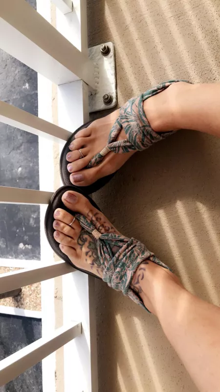 These babies looking for a new Daddy! 💋 Don’t you wanna be mine! DM ~wide open 😉