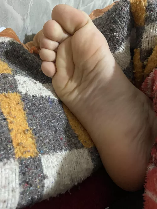 they are hiding, come find ‘em n u can do whatever u want 😏👅 dms/pms r welcome