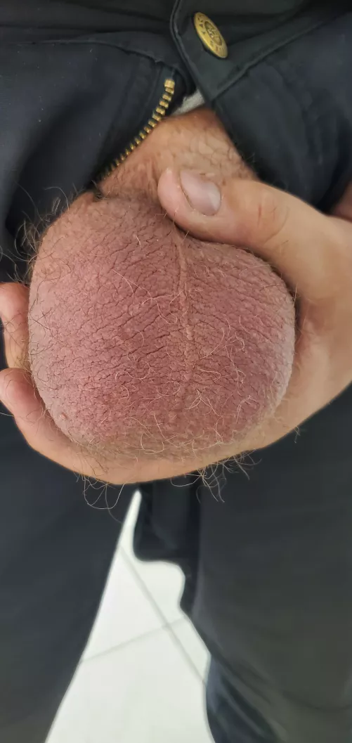 They are so fucking massive right now, they are going to fucking explode.