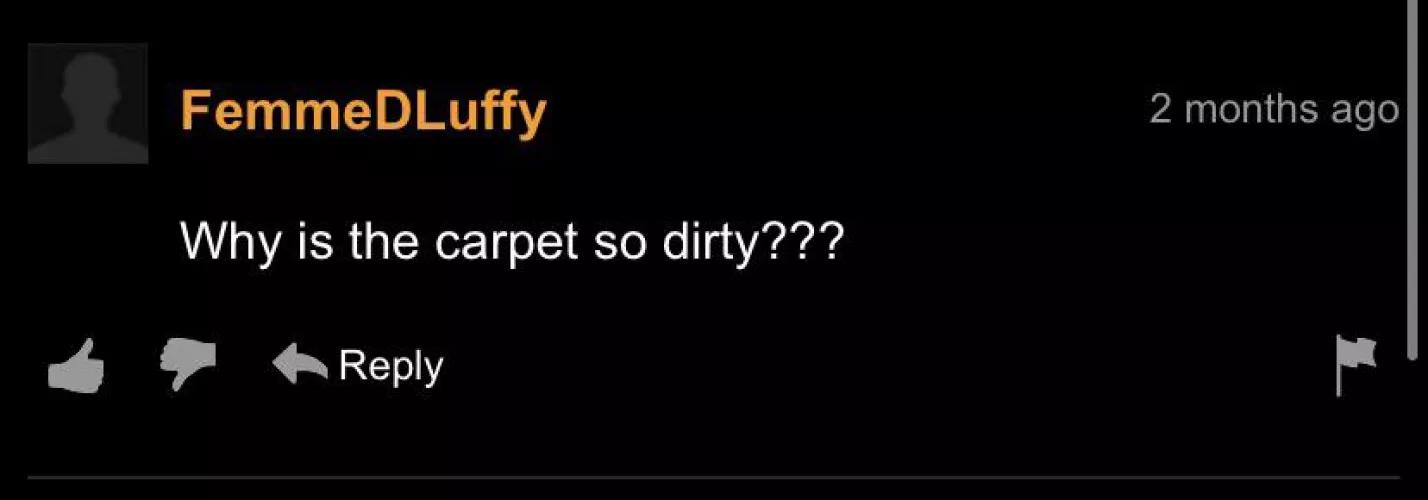 They need Stanley Steemer