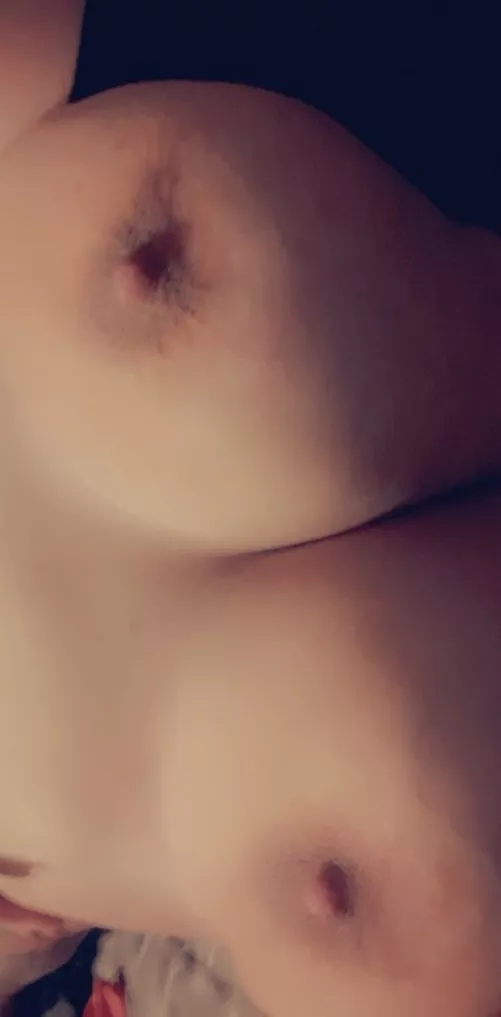 They're getting more filled with heavy milk each day. I'm excited to know soon they'll be so engorged they will leak and spray on their own.