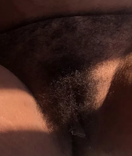 This pic reminds me of vintage porn 🎥 idk why lol