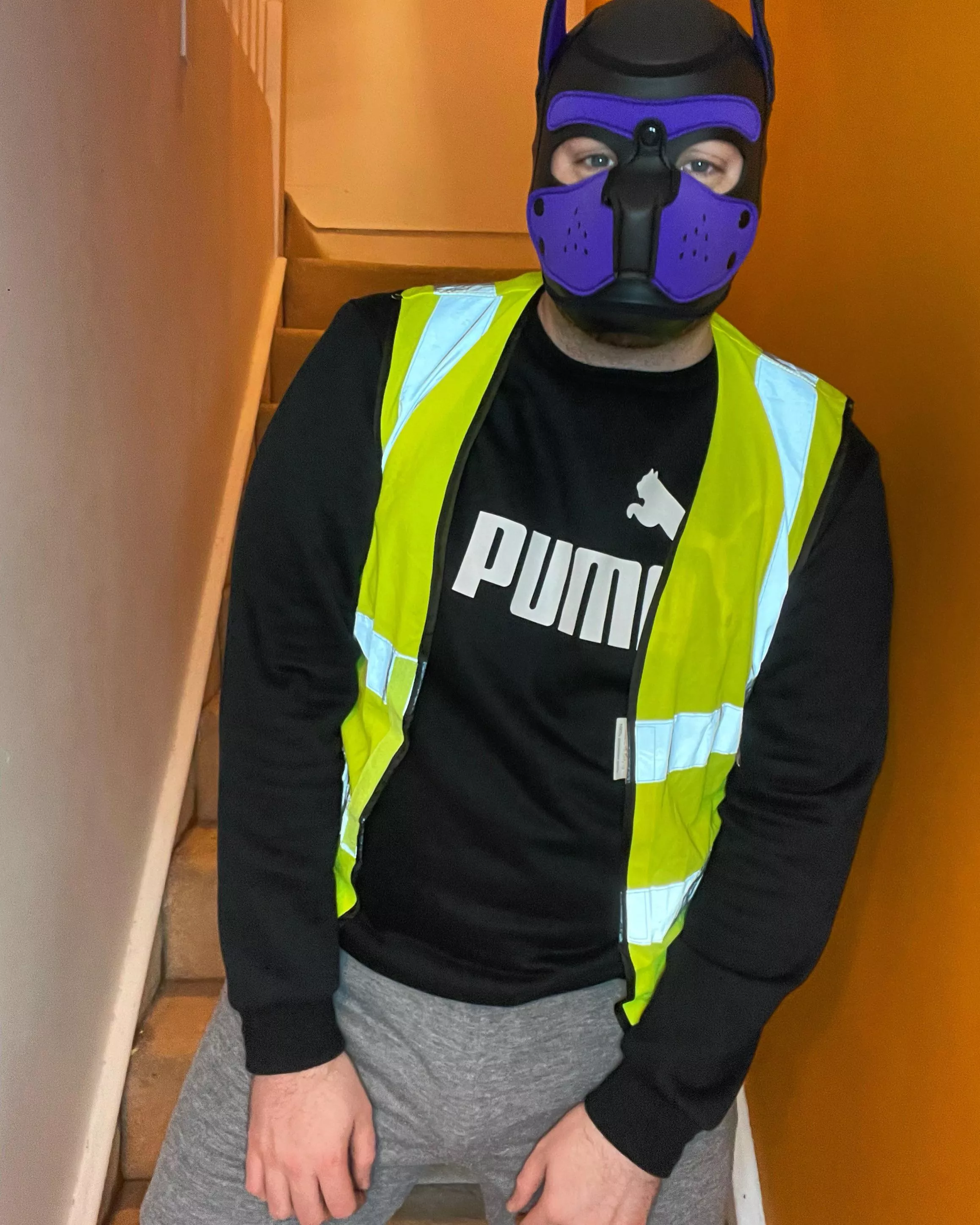 This pup is ready for the weekend, are you?. If you have instagram please follow me @pup.spencer. 💜💜💜 This pup is ready for the weekend, are you?. If you have instagram please follow me @pup.spencer. 💜💜💜