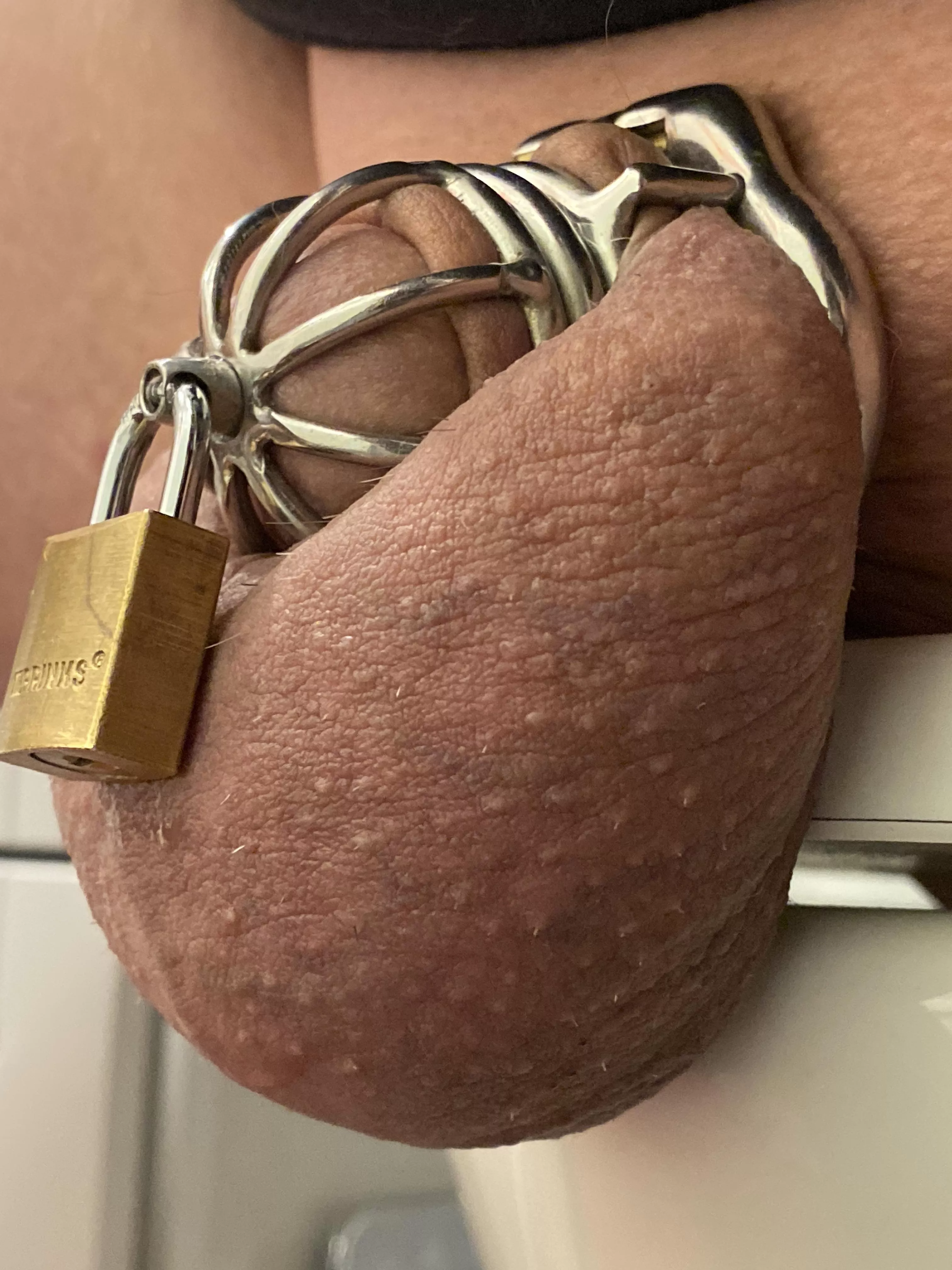 Two years of chastity play gone by, starting 3rd year with urethral spout lock from Ternence to keep from pulling out back of cage. KH lets me take spout key for now as we see how long a urethral device can last for me without major irritation. On 3rd da Two years of chastity play gone by, starting 3rd year with urethral spout lock from Ternence to keep from pulling out back of cage. KH lets me take spout key for now as we see how long a urethral device can last for me without major irritation. On 3rd da