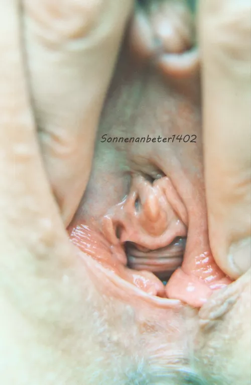 View into the pussy of my wife (Scan)