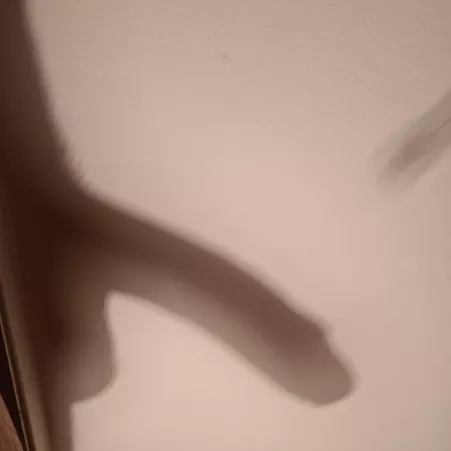 Wanna see the real thing?