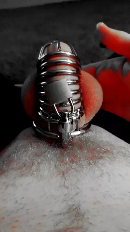 Was allowed a fisting toy in my ass tonight🤛🏻🤛🏻🤛🏻.... now I'm locked up again 🔐 likelihood boy 😉😉😉