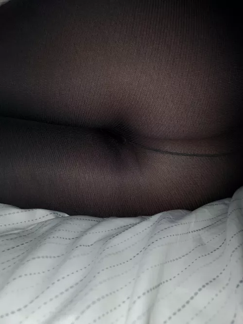 What do you think of my wifes[37F] nylon covered ass?