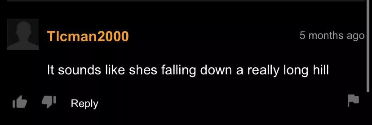 When i saw this comment I couldn’t not hear it.