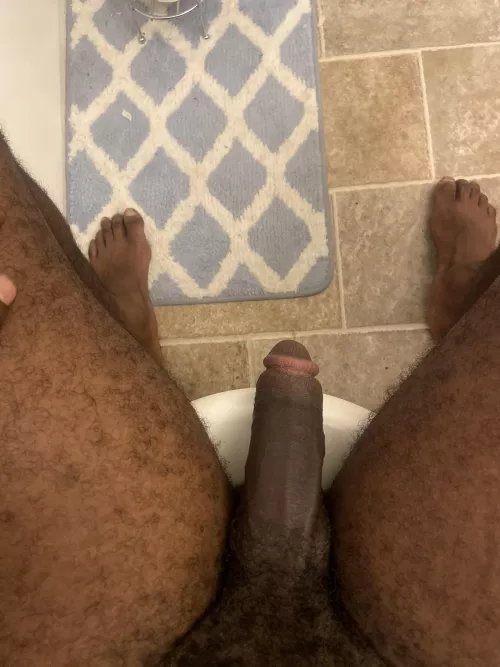 When people ask “do you let it hang in toilet or sit on the seat” 🙃