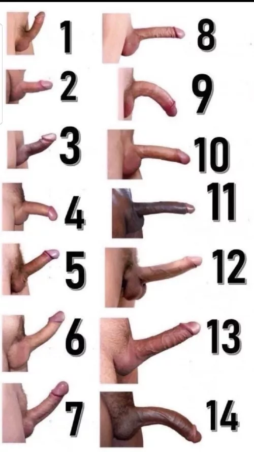 Which of them is your penis? I'm (2)