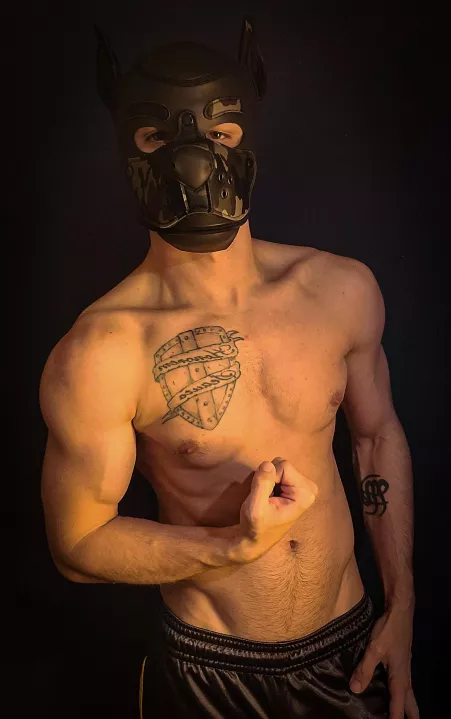 Who needs a trained puppy? Loves bones🐕