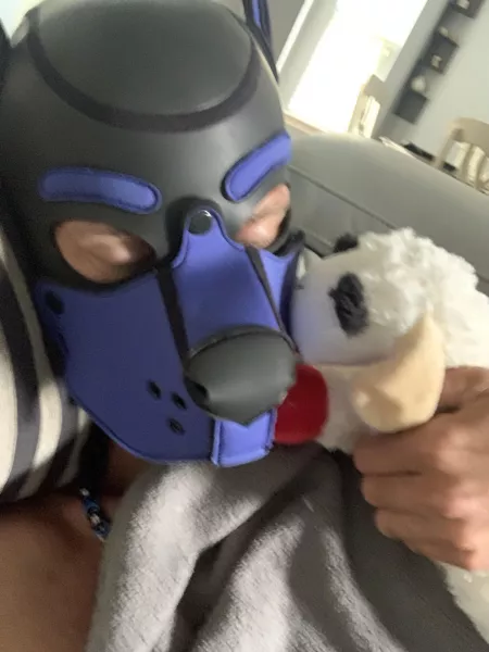 Who wants to replace Lamb Chop?