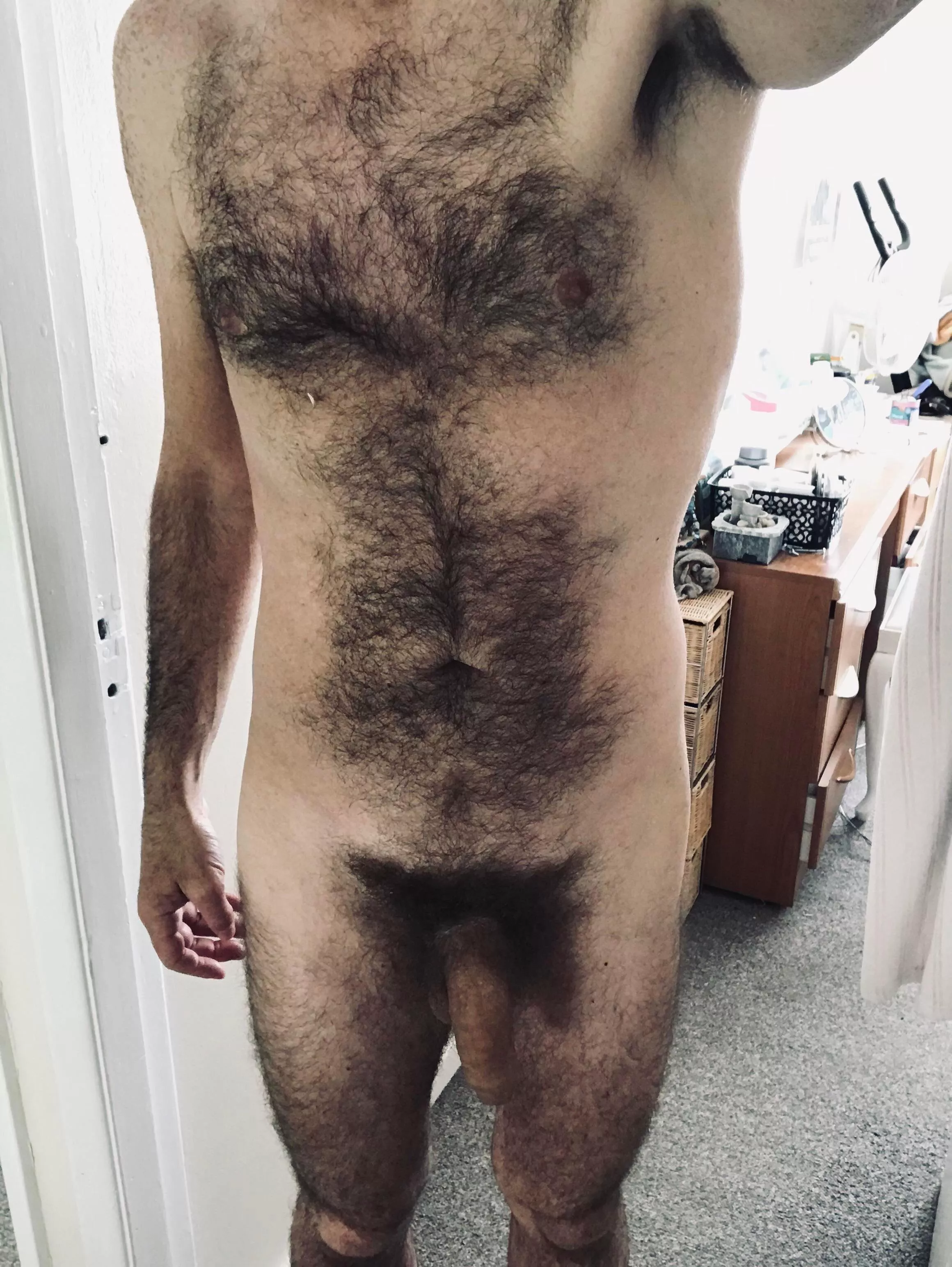 Who wants to rub their hands on my furry body.