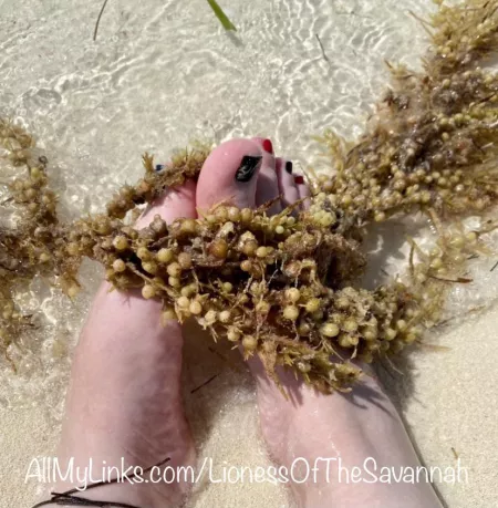 Who wants to see my feet play in the water on the beach? 🌊☀️🏝 DM me! 😋