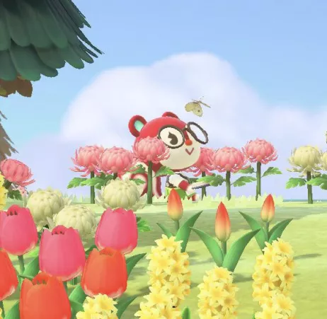 Would anyone wanna be animal crossing post card pen pals? 🥺