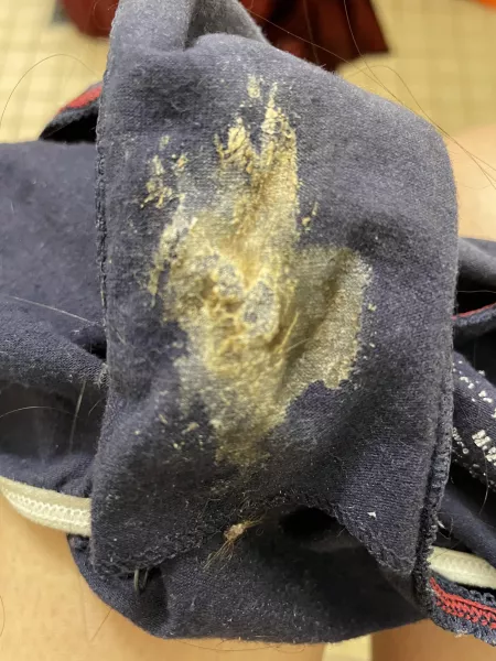 Your Professor’s Panties